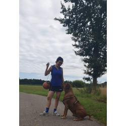 Basketball Tasche